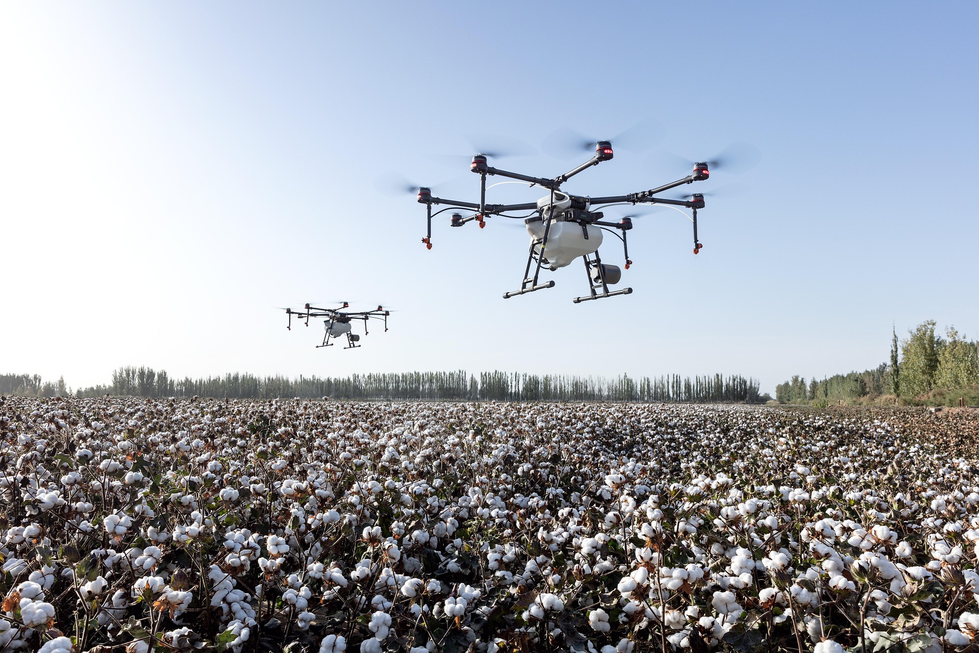 IoT & AUTOMATION