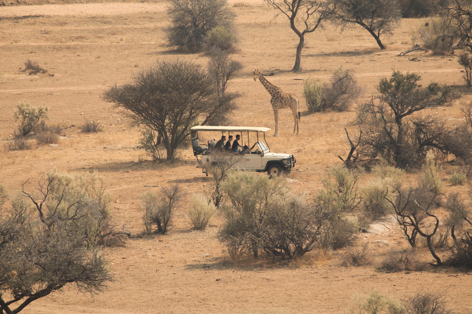Tours & Travel Management